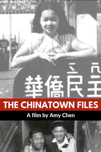 Poster of The Chinatown Files