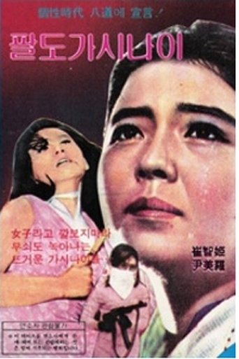 Poster of 팔도가시나이