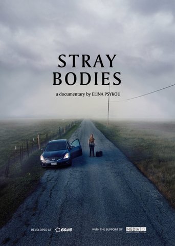 Poster of Stray Bodies