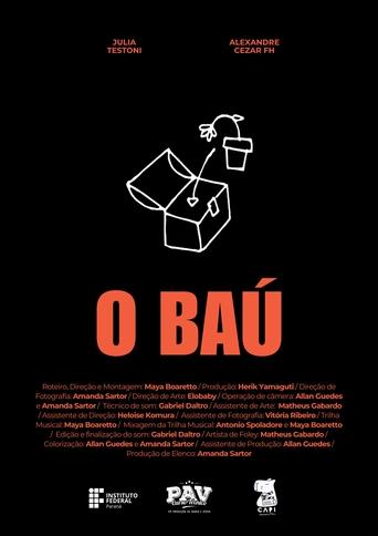 Poster of O Baú