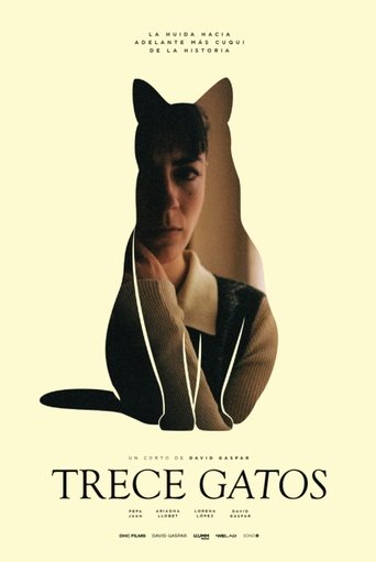 Poster of 13 gatos