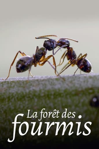 Poster of La Forêt des fourmis