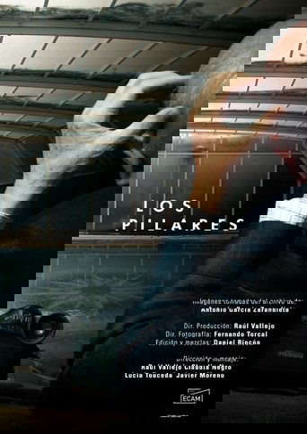 Poster of Los Pilares