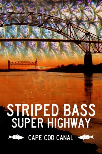 Poster of Striped Bass Super Highway: Cape Cod Canal