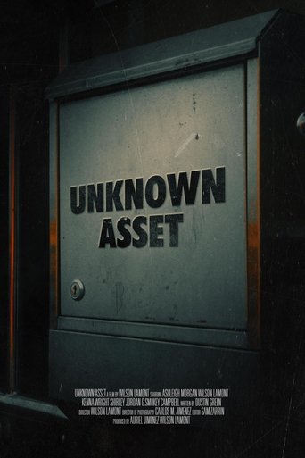 Poster of Unknown Asset