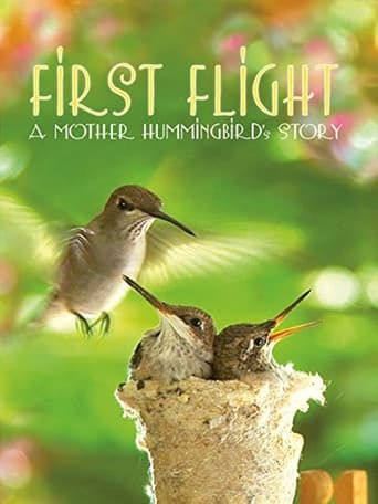 Poster of First Flight: A Mother Hummingbird's Story