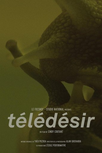 Poster of Télédésir