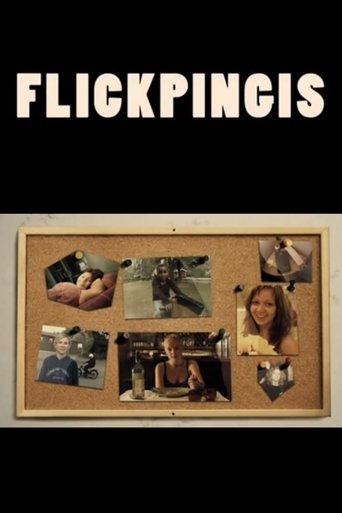 Poster of Flickpingis