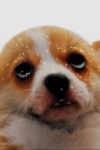 puparazzi Poster of puparazzi