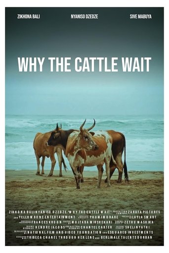 Poster of Why The Cattle Wait