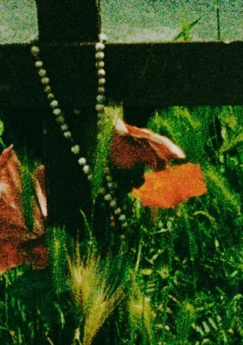 Poster of The Cradle