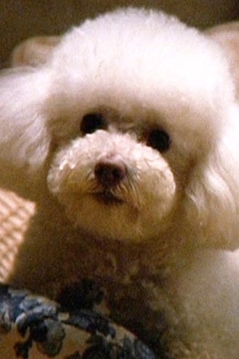 Portrait of Darla