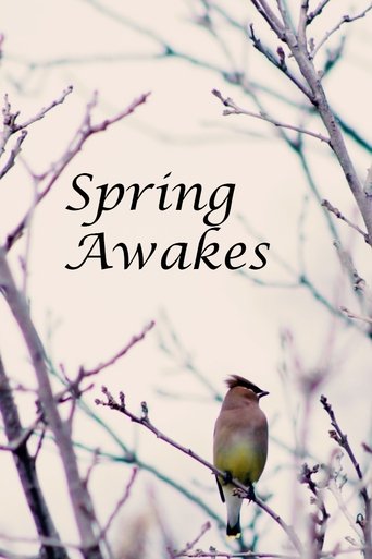 Poster of Spring Awakes