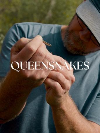 Poster of Queensnakes