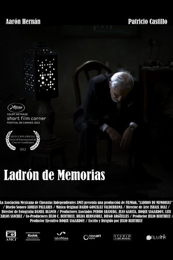 Poster of Ladrón de memorias