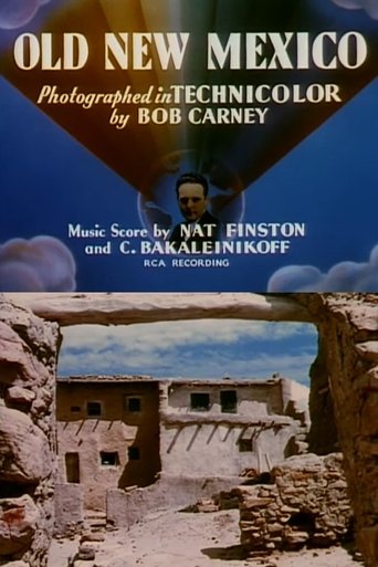 Poster of Old New Mexico