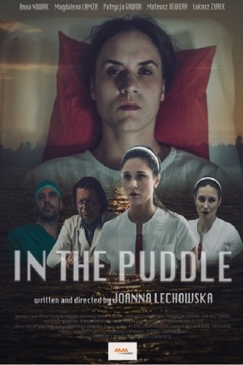 Poster of In the Puddle