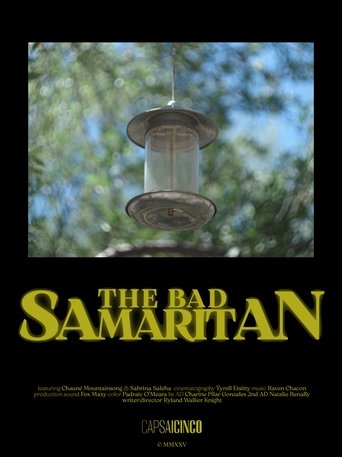 Poster of The Bad Samaritan