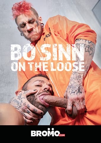 Poster of Bo Sinn: On the Loose