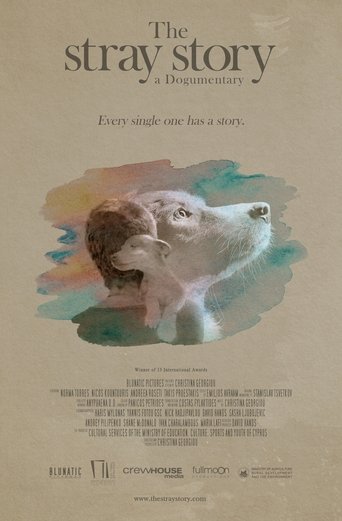 Poster of The Stray Story: A Dogumentary