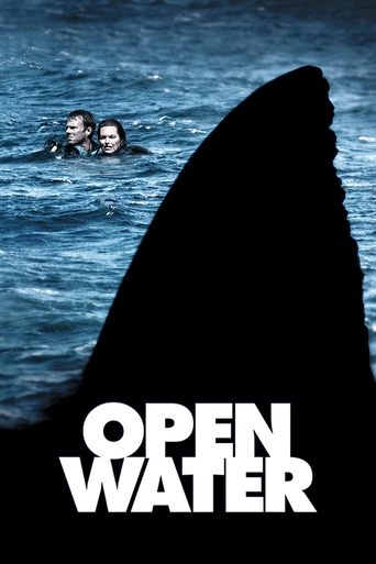 Poster of Open Water