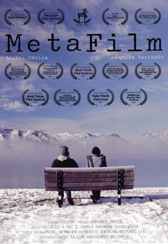 Poster of MetaFilm