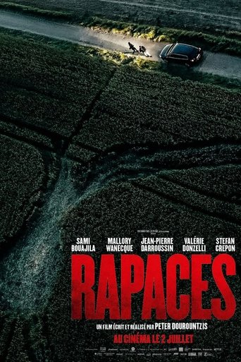 Poster of Vultures