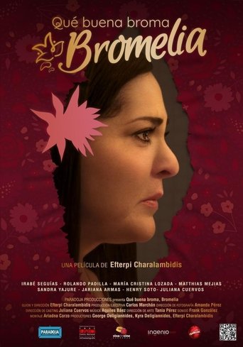 Poster of Qué buena broma, Bromelia