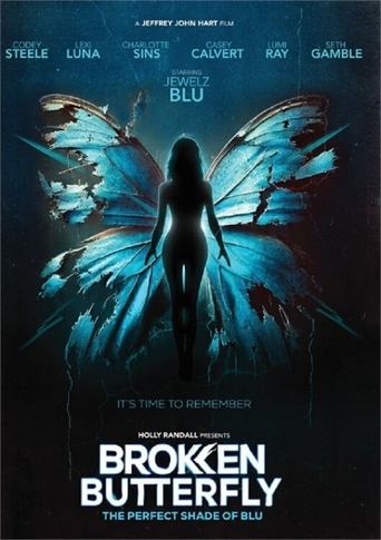 Poster of Broken Butterfly