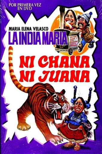 Poster of Ni Chana, ni Juana