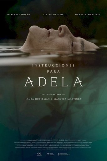 Poster of Instrucciones para Adela