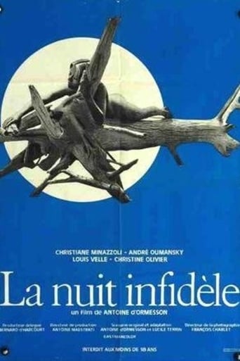 Poster of Unfaithful Night