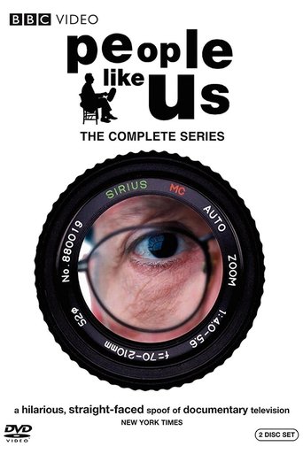 Poster of People Like Us