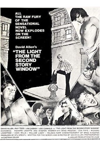 Poster of The Light from the Second Story Window