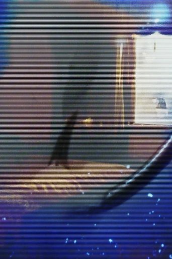 Poster of the house was there before me