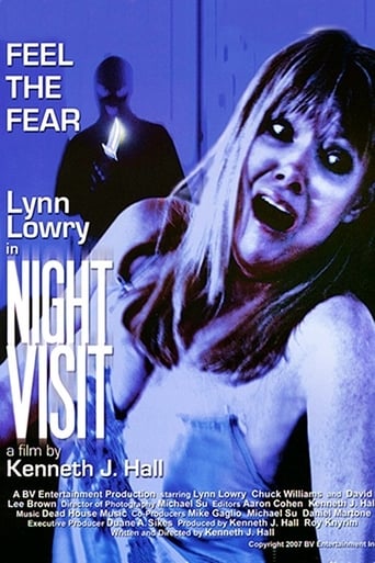 Poster of Night Visit