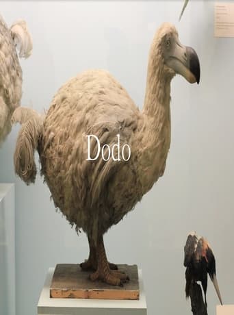 Poster of Dodo