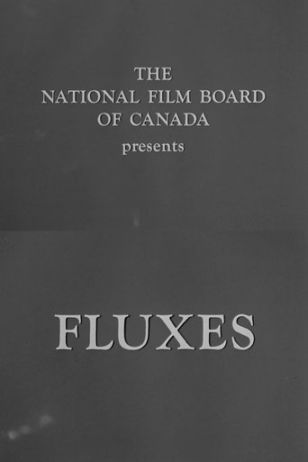 Poster of Fluxes