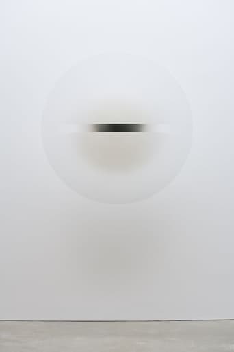 Poster of Robert Irwin : the beauty of questions