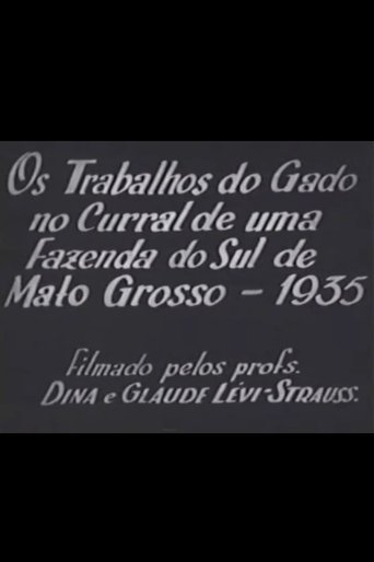 Poster of Cattle Work in the Corral of a Farm in Southern Mato Grosso