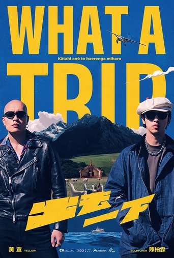 Poster of What A Trip