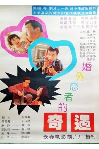 Poster of 婚外恋者的奇遇