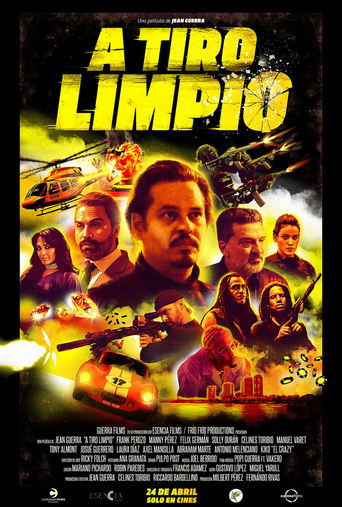 Poster of A tiro limpio