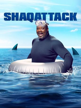 Poster of ShaqAttack