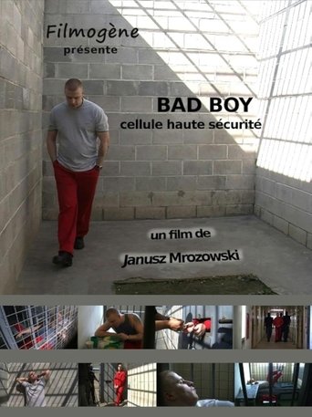 Poster of Bad Boy