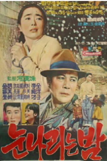 Poster of 눈 나리는 밤