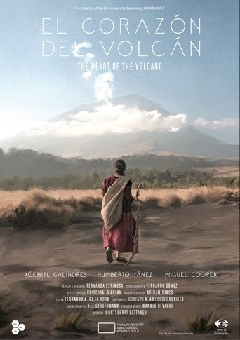 Poster of El corazón del volcán