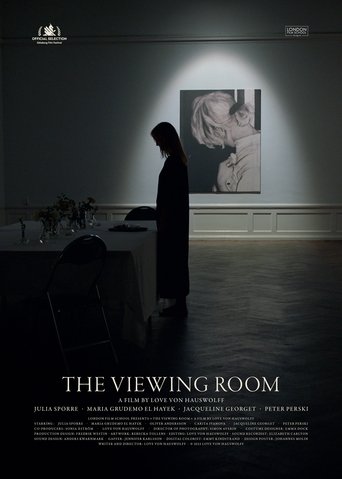 Poster of The Viewing Room