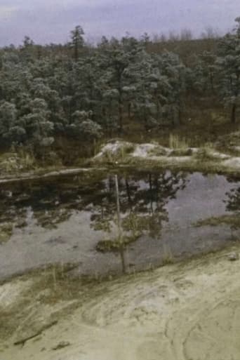 Poster of Pine Barrens