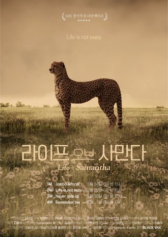 Poster of Life of Samantha